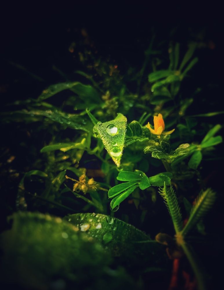 Droplets