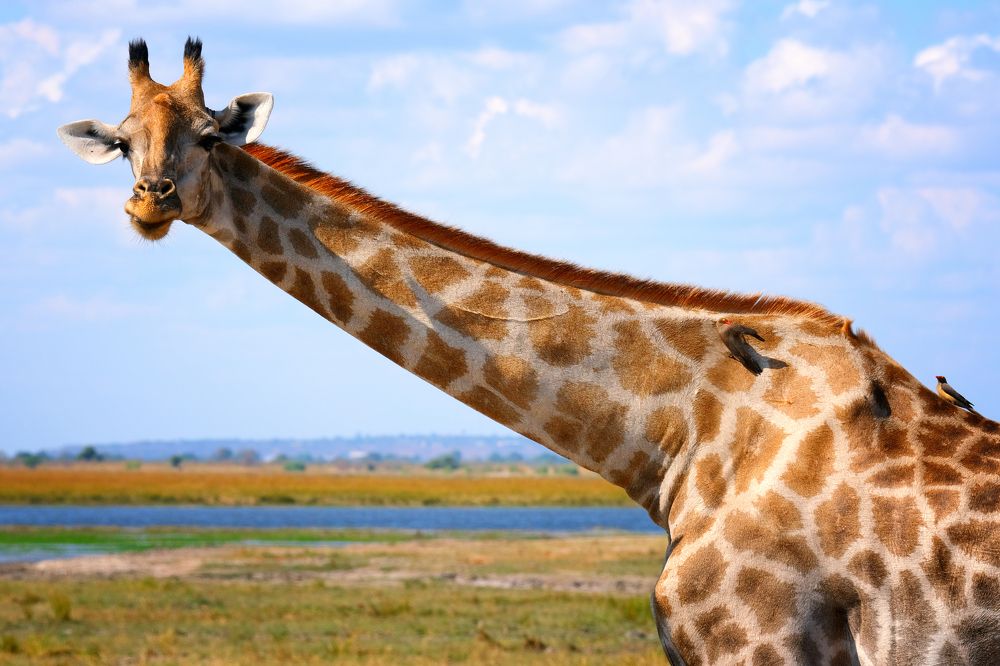 Photograph by Ирина Худзинская