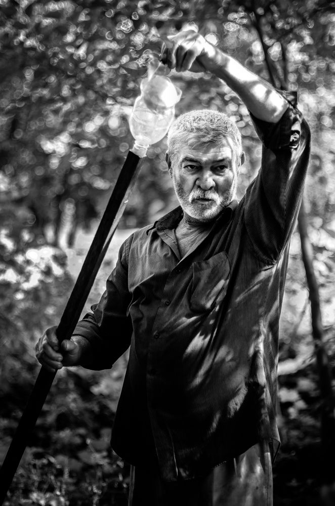 Photograph by Владимир Зайцев