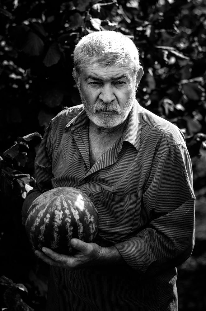 Photograph by Владимир Зайцев