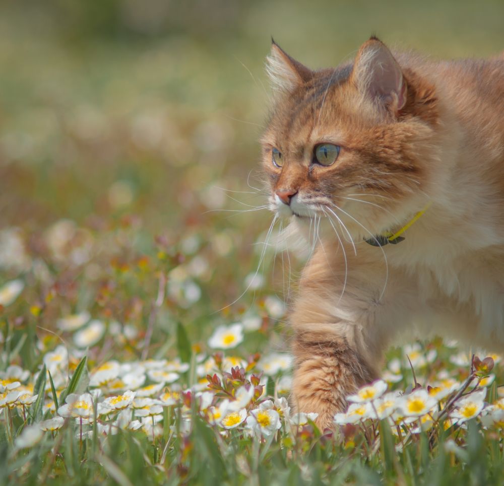 Photograph by Евгений Владимиров