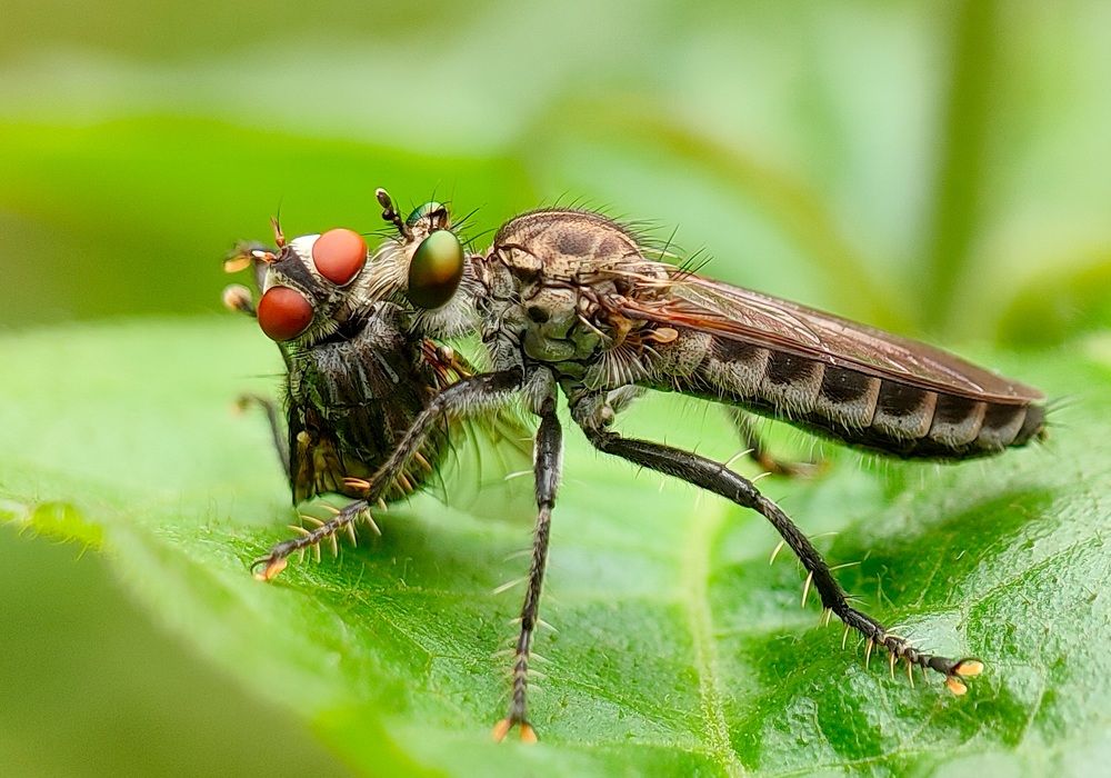 Photograph by Chidambar