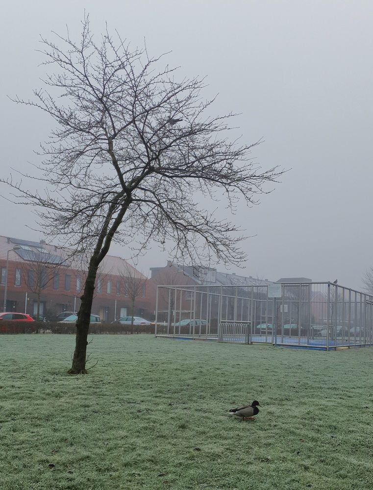 Photograph by Ghazal Ardeshirzadeh