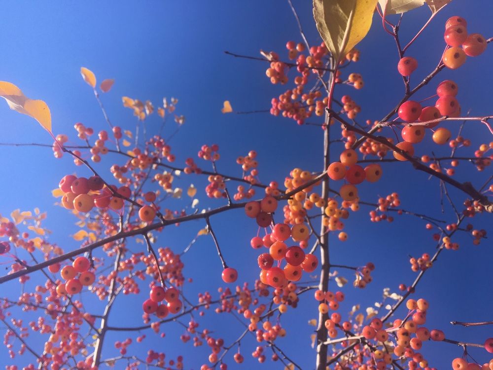 Photograph by Ирина Елсукова