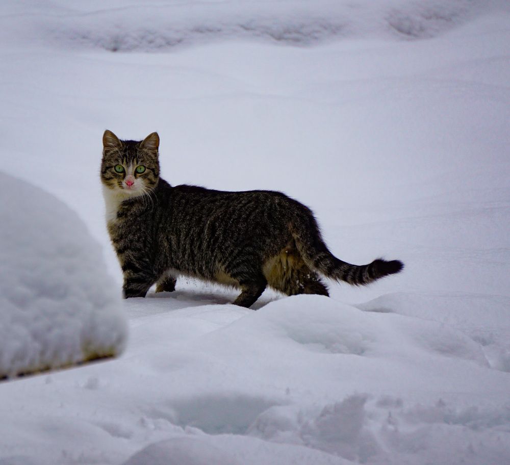 Photograph by Catalin Serbu