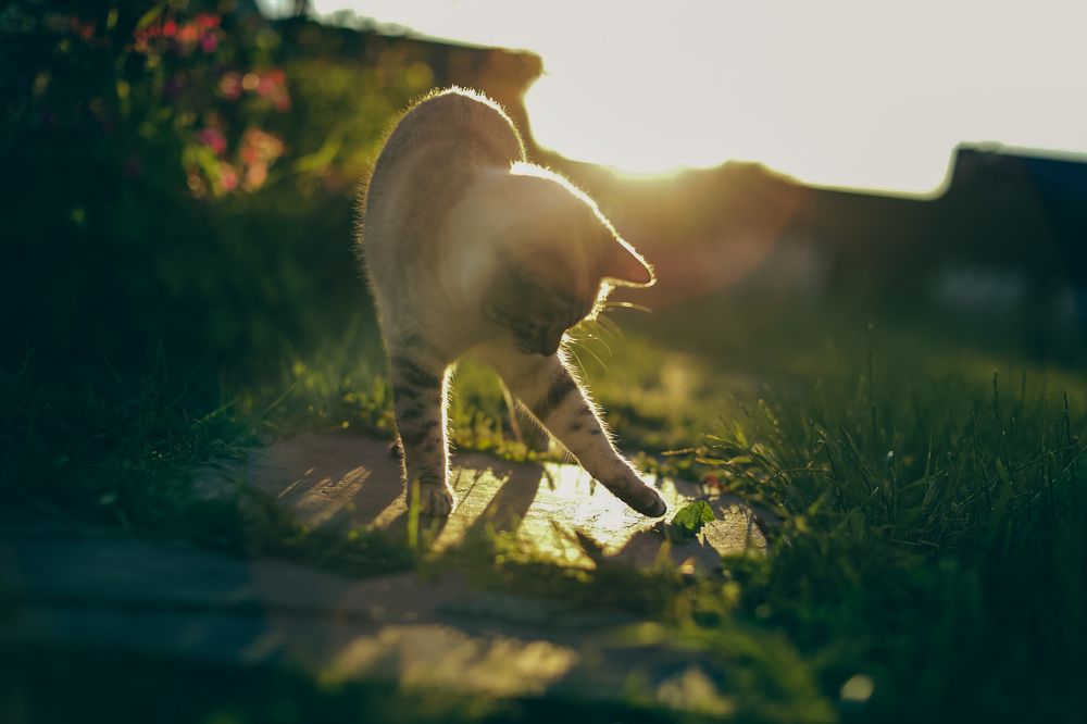 Photograph by Наталья Кузнецова