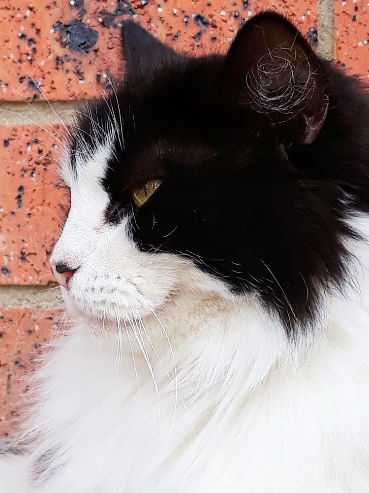 Photograph by Kirsteen Isles