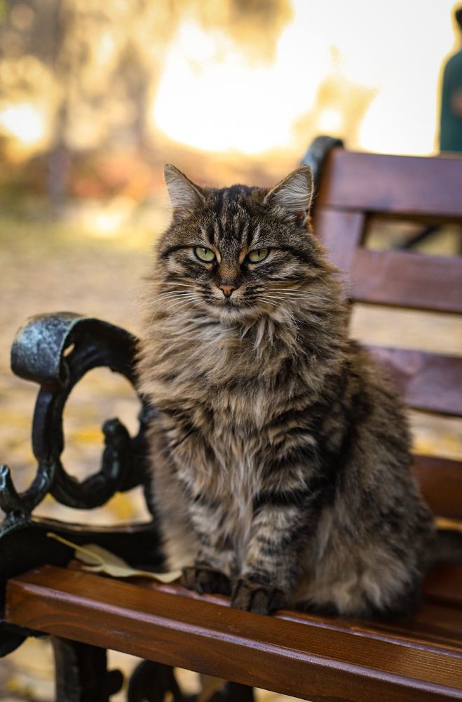 Photograph by Дарья