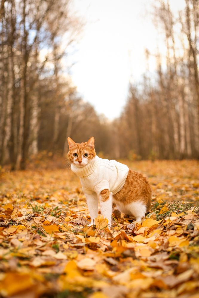 Photograph by Дарья