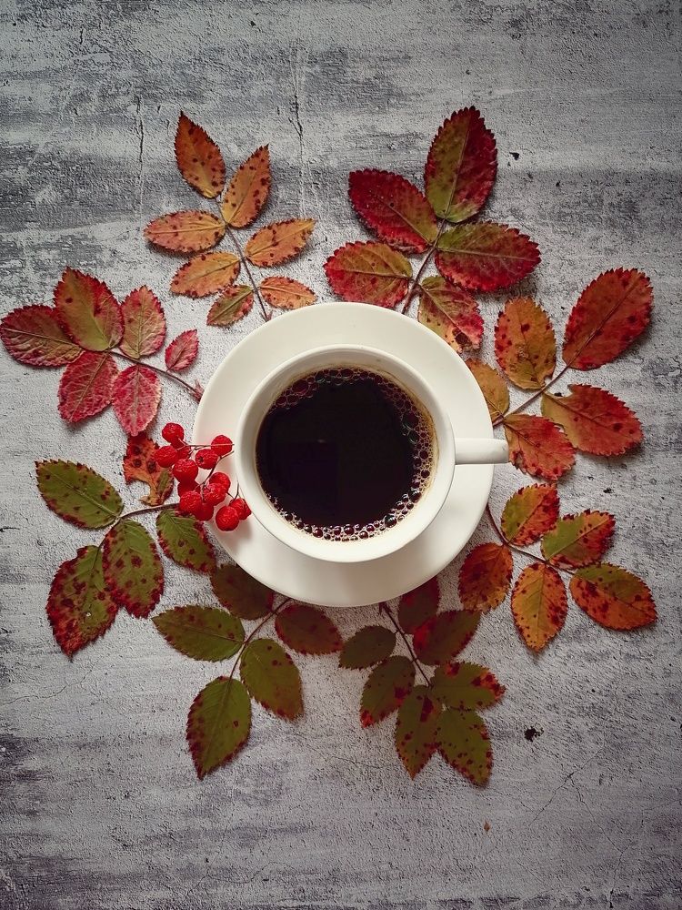 Photograph by Светлана Шелухеева