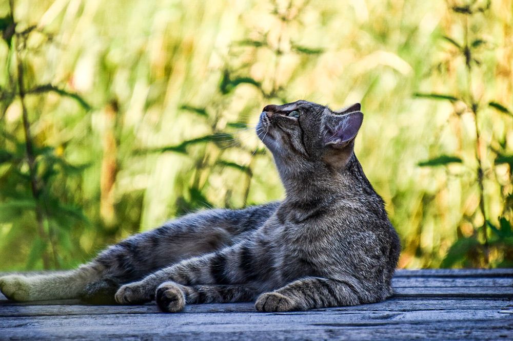 Photograph by Марина Корреа Ластра