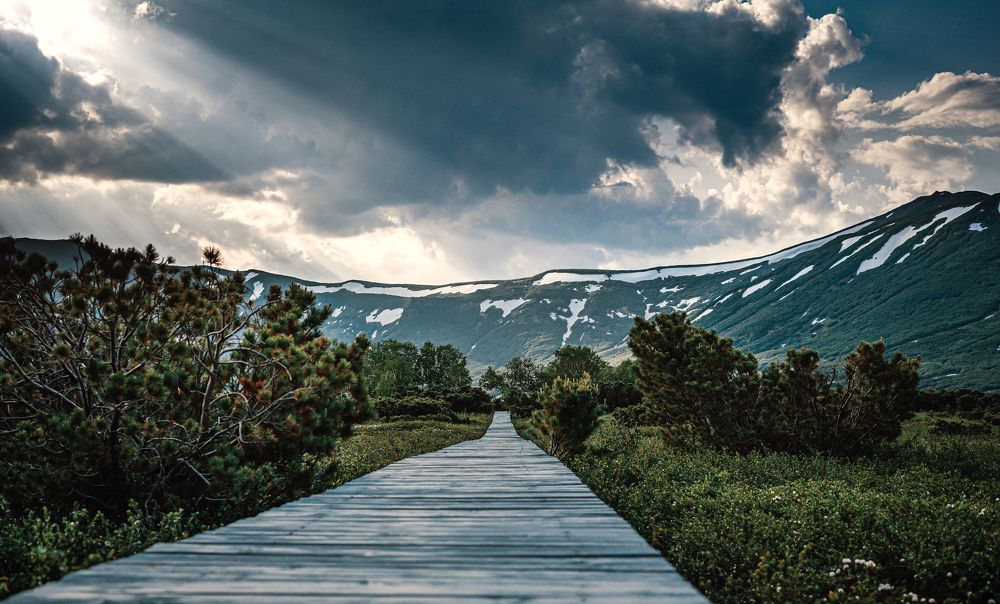 Photograph by Денис Давыдов