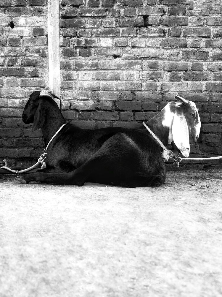 Photograph by sagar pavale