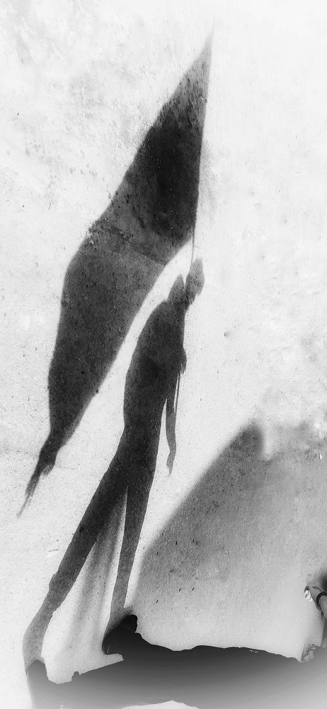 Фотография автора Mahdi Hosseini Kia