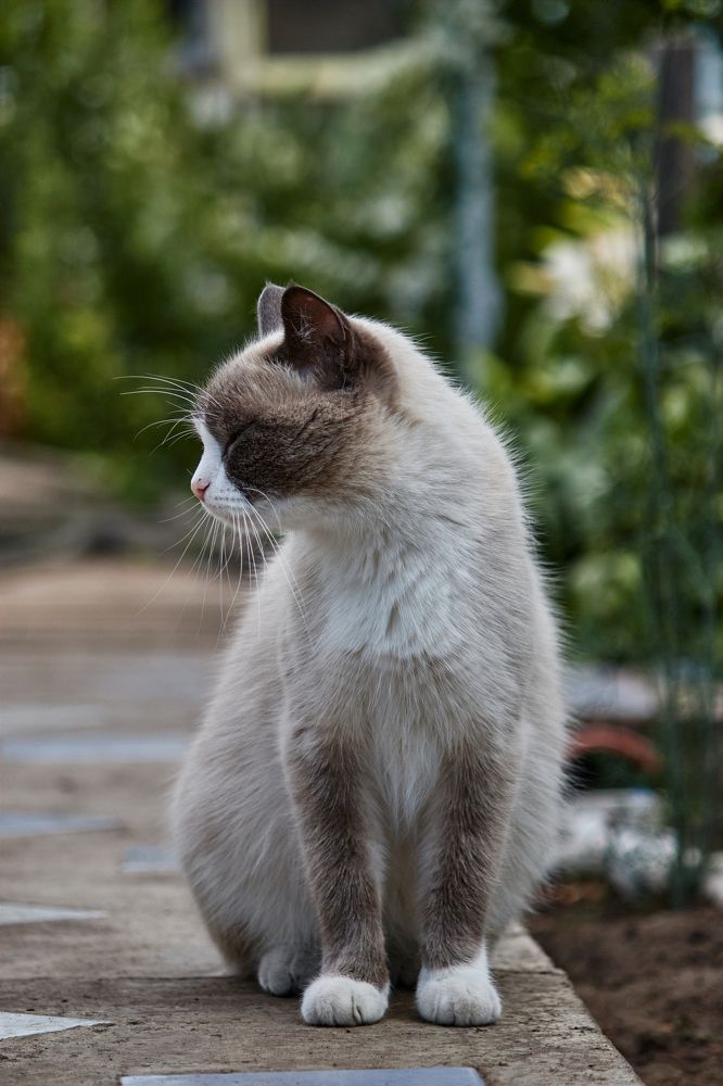 Photograph by Софья Гелевера