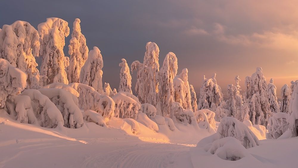Photograph by Оксана