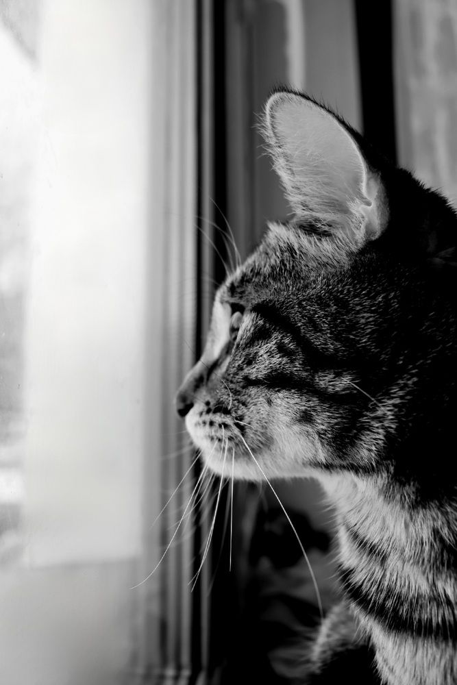 Photograph by Svetlana Savilova