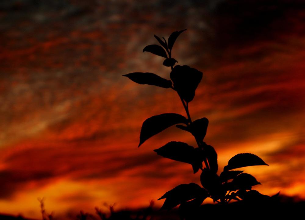 Красная вселенная.