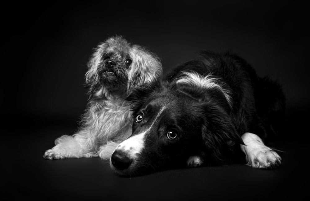 Photograph by наталья залогина