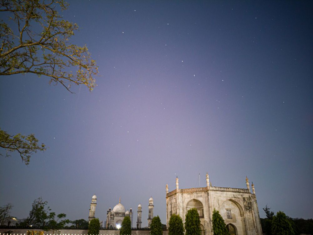 Photo #8788126