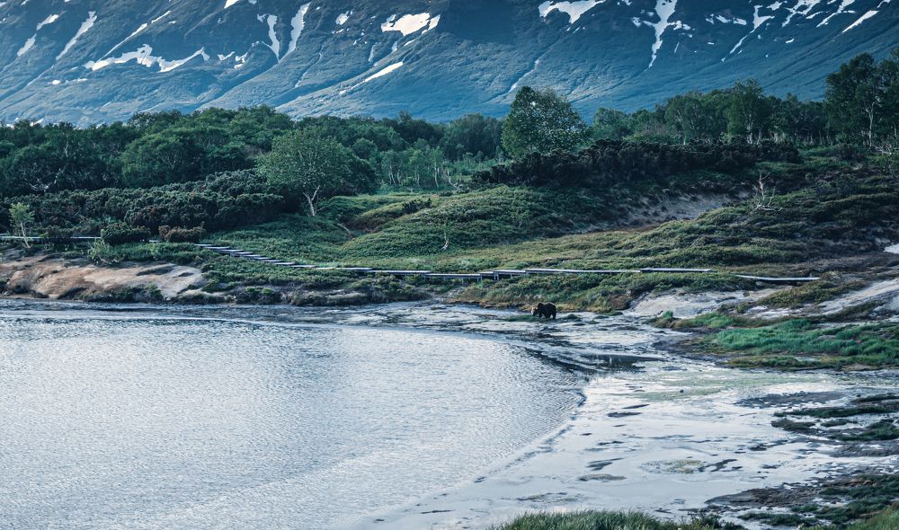 Photograph by Денис Давыдов