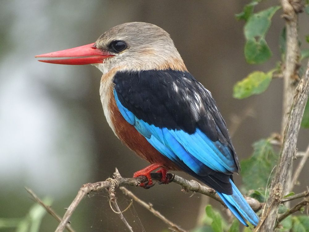 Photograph by ELVIRA LUNEVA