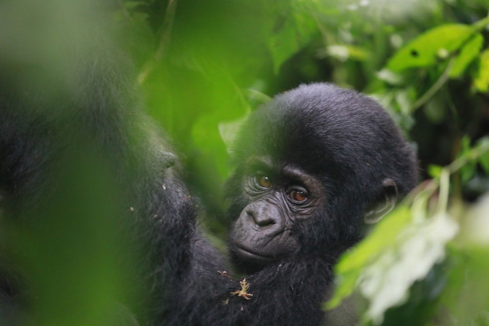 Photograph by ELVIRA LUNEVA