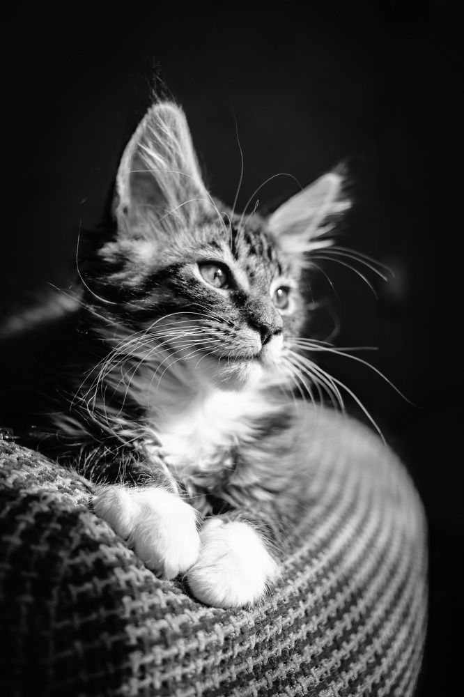 Photograph by Зубков Вадим