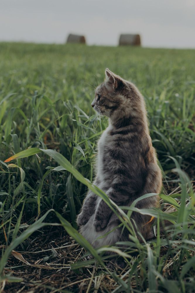 Photograph by Marina Argunova