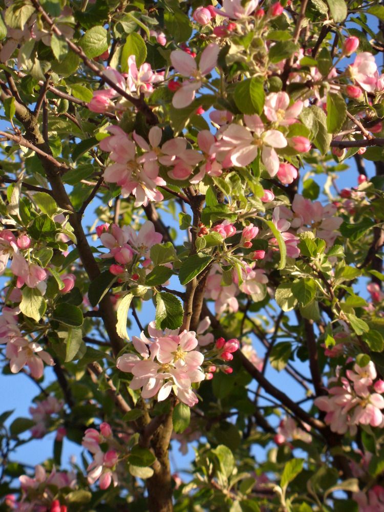 Photograph by Маша Худякова