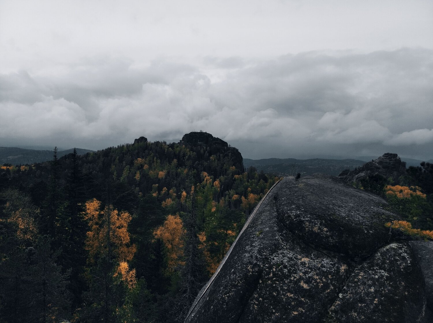 Photo #8788334