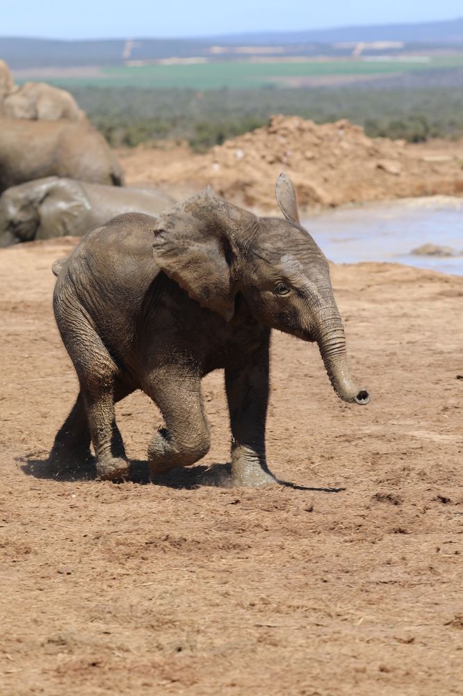 Photograph by ELVIRA LUNEVA