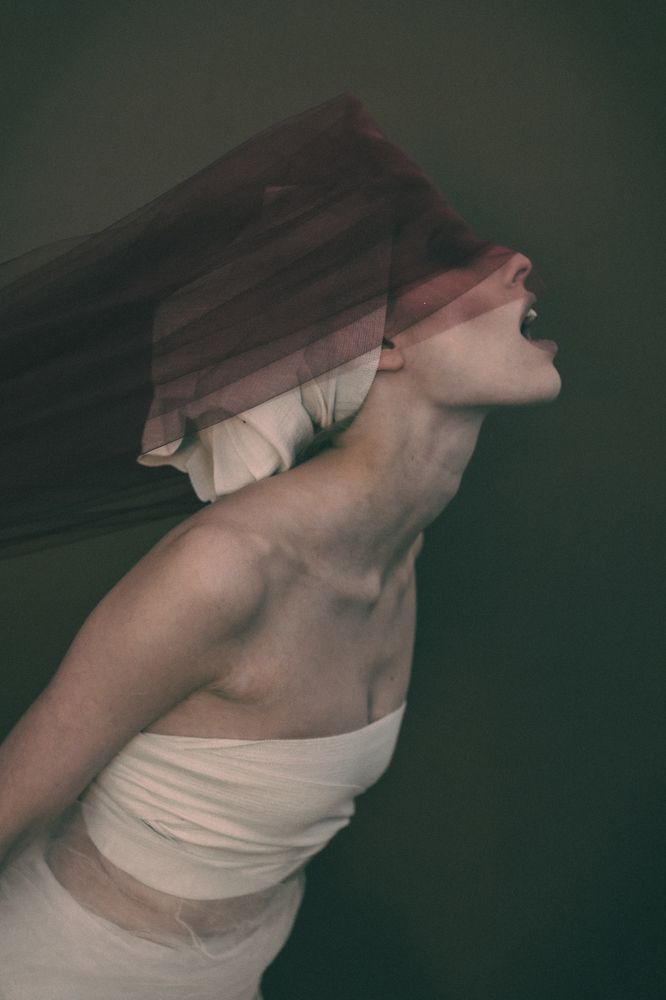 Photograph by Ira Sokol