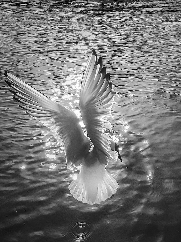 Photograph by Оксана Борисевич