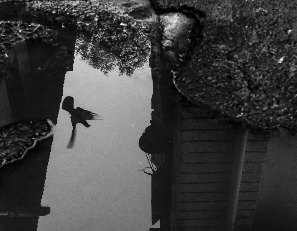 Black and white movement