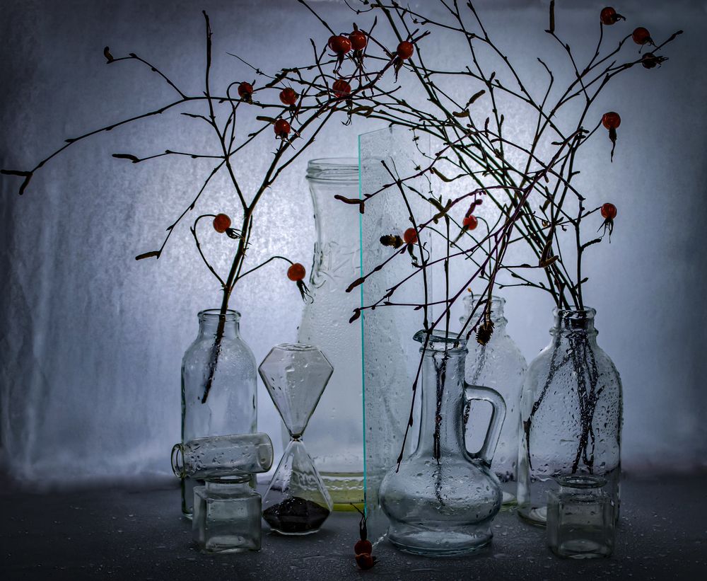 Шиповник и стекляшки