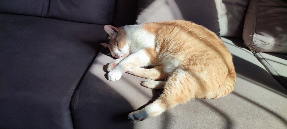 Photograph by Евгений Захаров