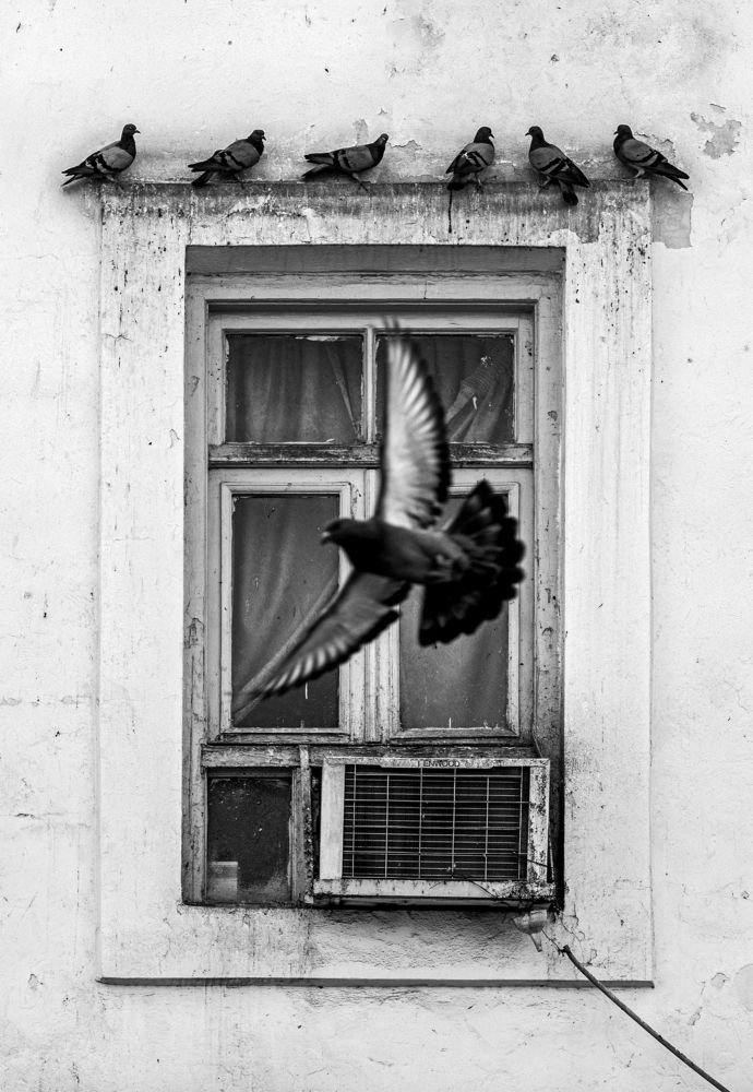 Photograph by Amirhossein Yousefi Keysari