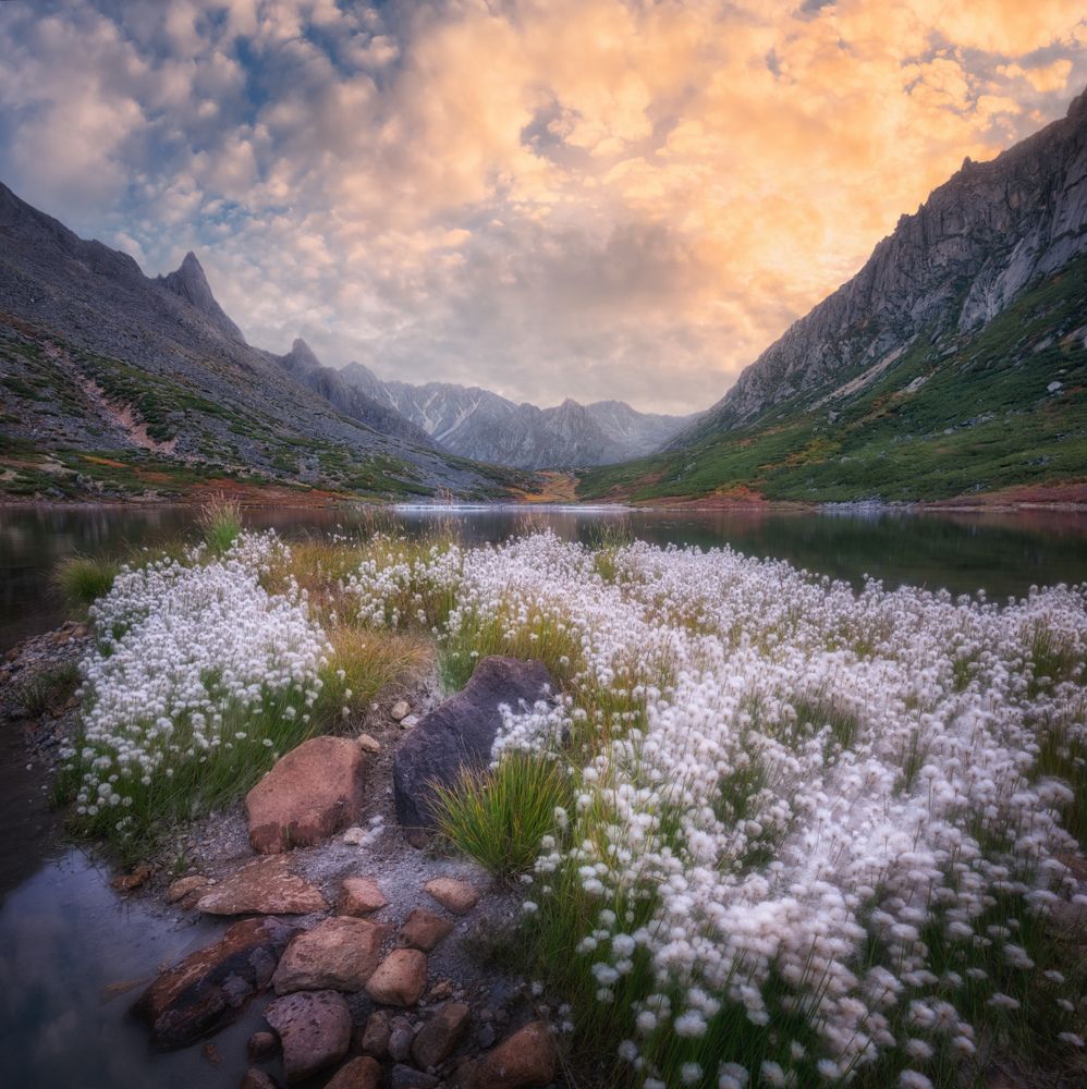 Фотография автора Dmitry Medyancev