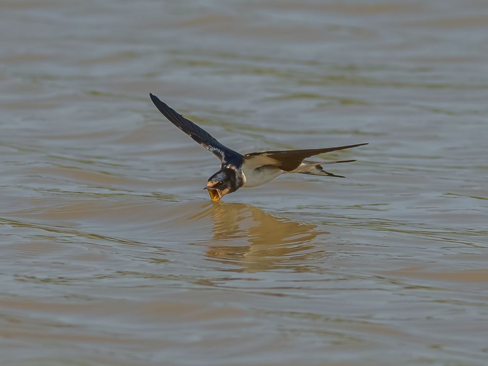 Photograph by Дэм Константин