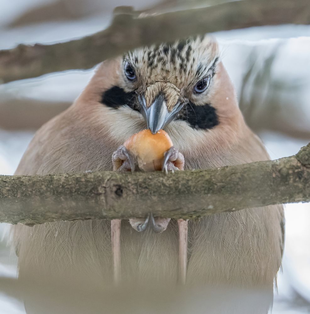 Photograph by Дэм Константин