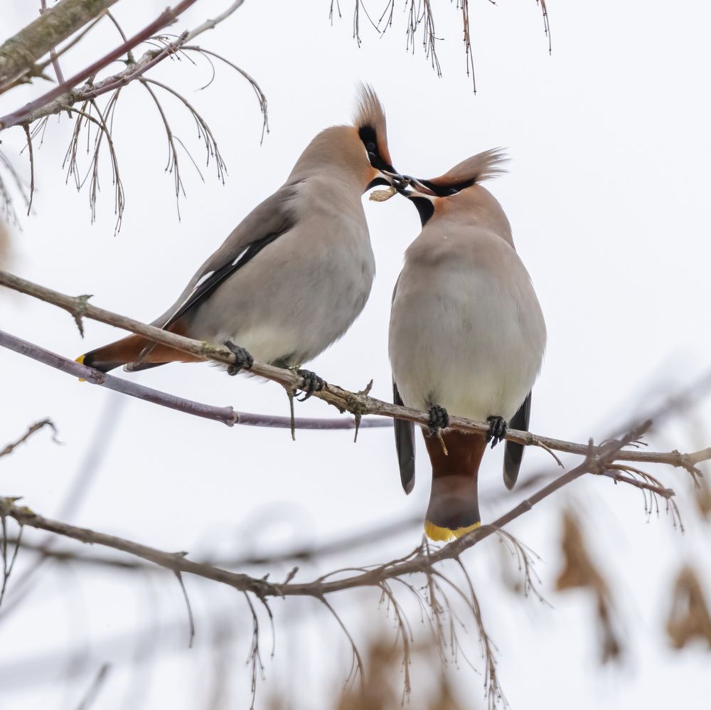 Photograph by Дэм Константин