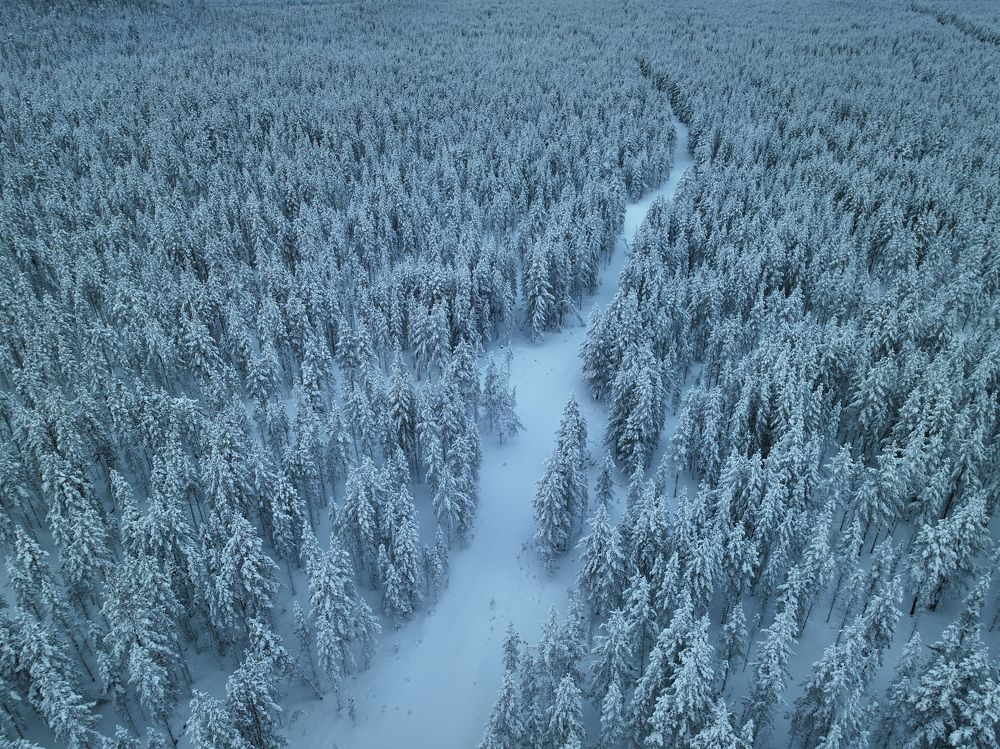 Photograph by Денис