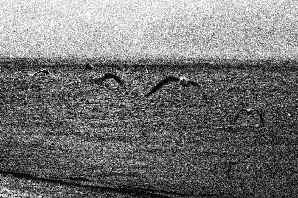 Photograph by Татьяна Чибисова