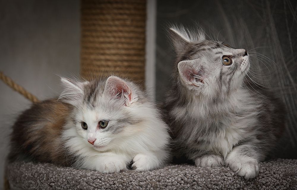 Photograph by Алина Жук