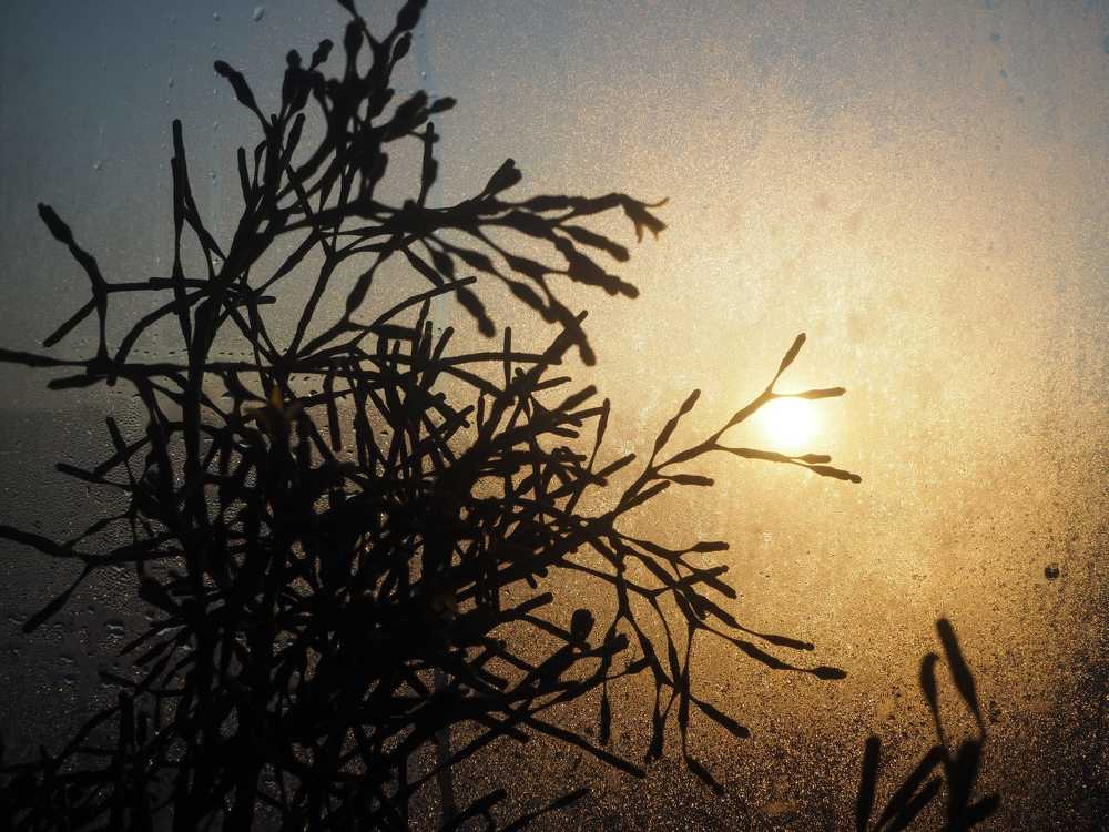 Photograph by Анастасия Лукьянюк