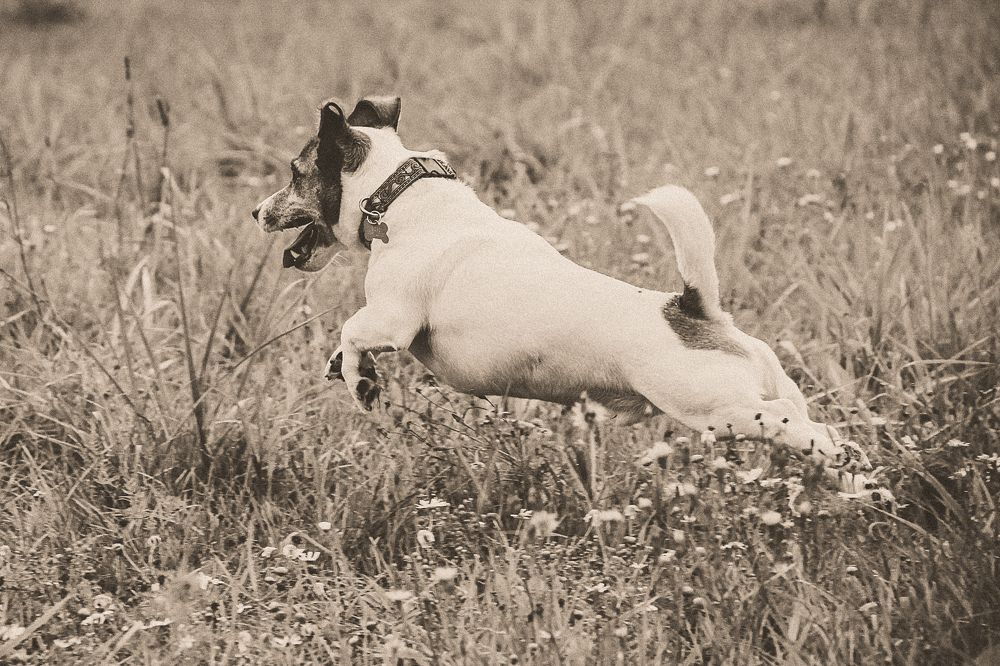 Photograph by Ольга