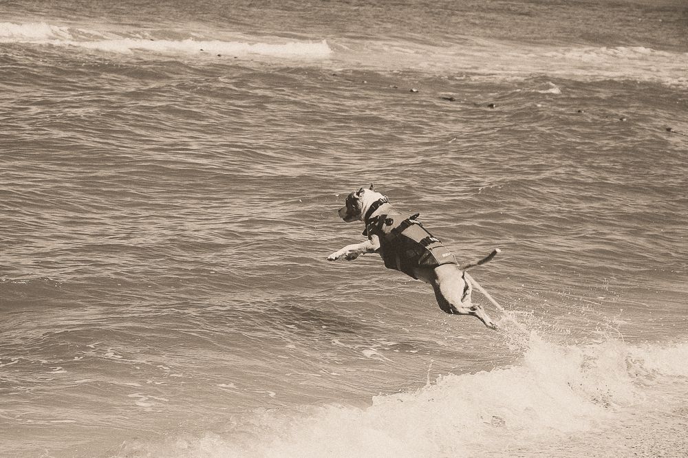 Photograph by Ольга