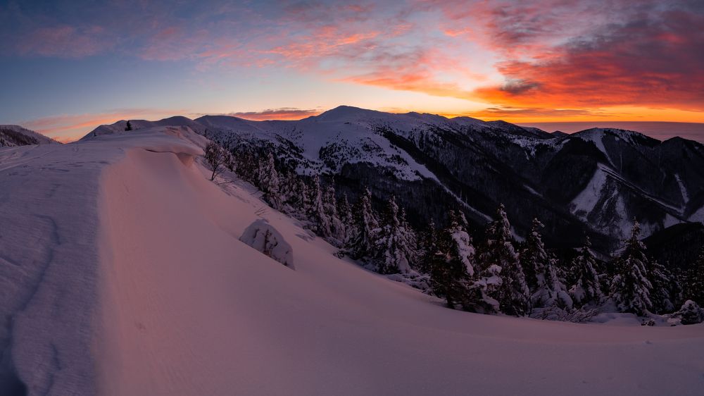 Photograph by Filip Micunda