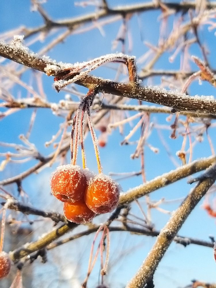 Photograph by Татьяна Гурьянова